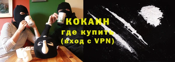 молекула духа Алексин