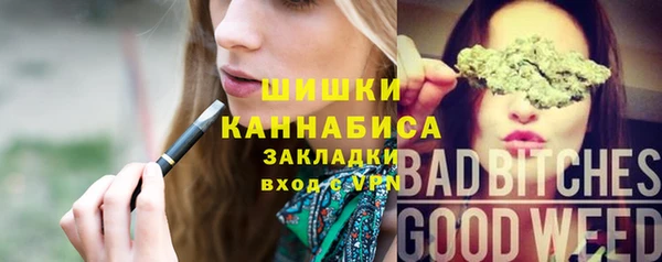 молекула духа Алексин