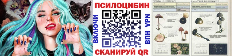 Купить  Удомля  Галлюциногенные грибы Cubensis 